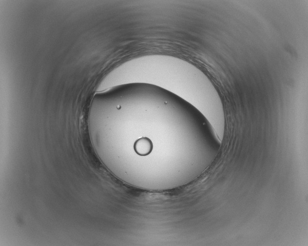 X0000115830327200912111317