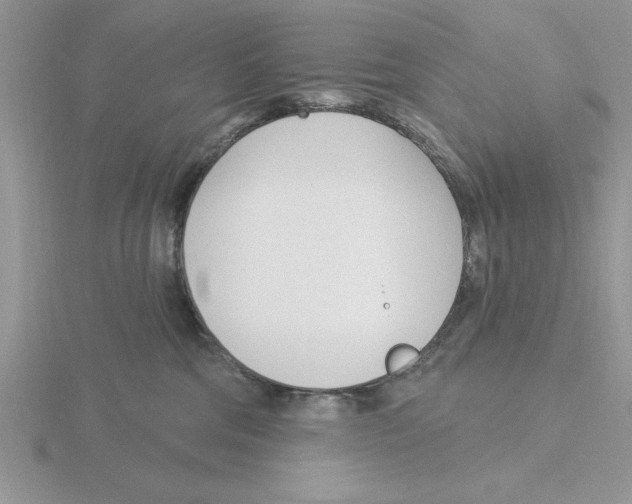 X0000115830330200912111317