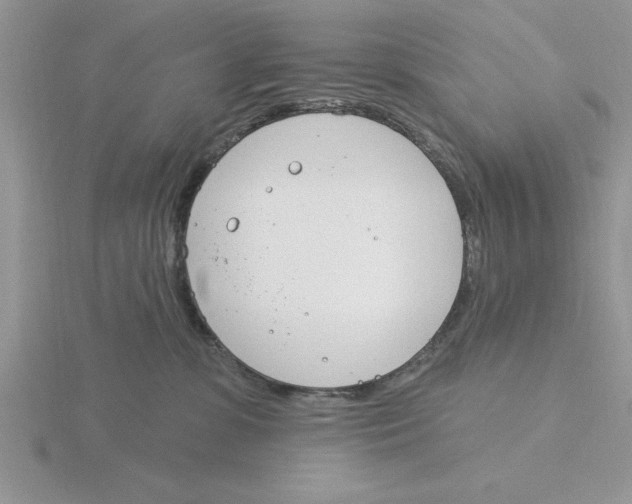 X0000115830331200912111317