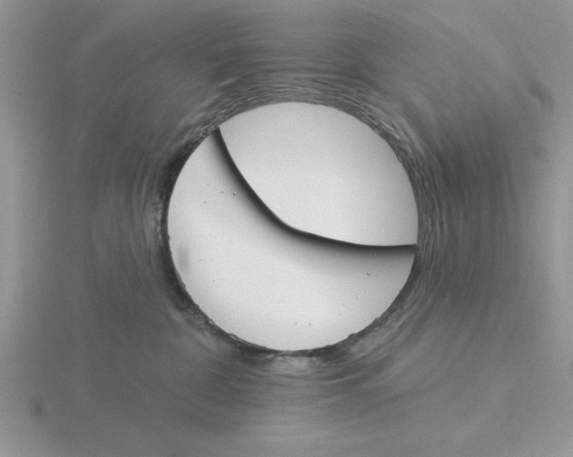 X0000115830332200912111317