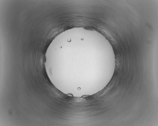 X0000115830333200912111317