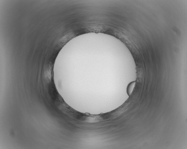 X0000115830334200912111317