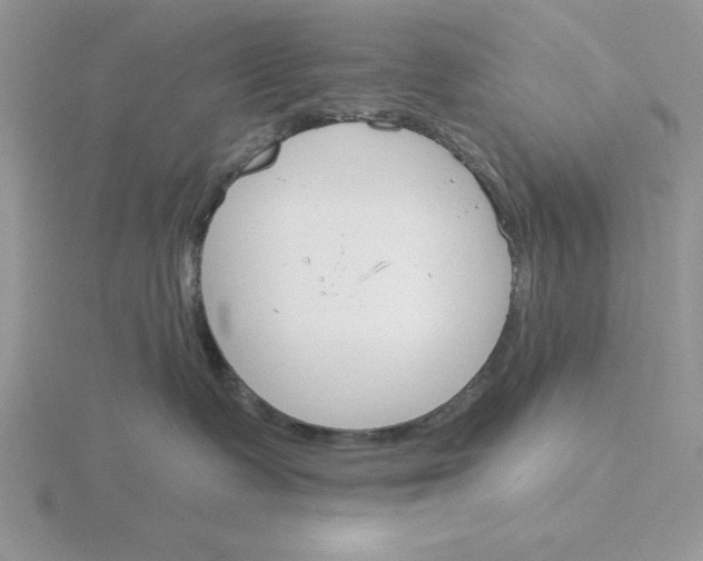 X0000115830335200912111317