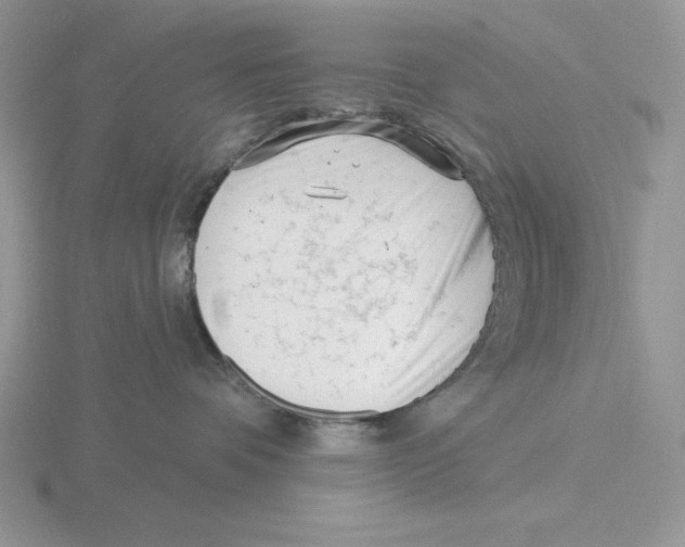 X0000115830336200912111317