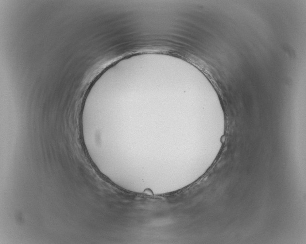 X0000115830337200912111317