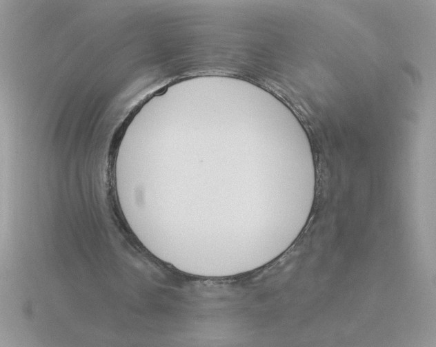 X0000115830338200912111317