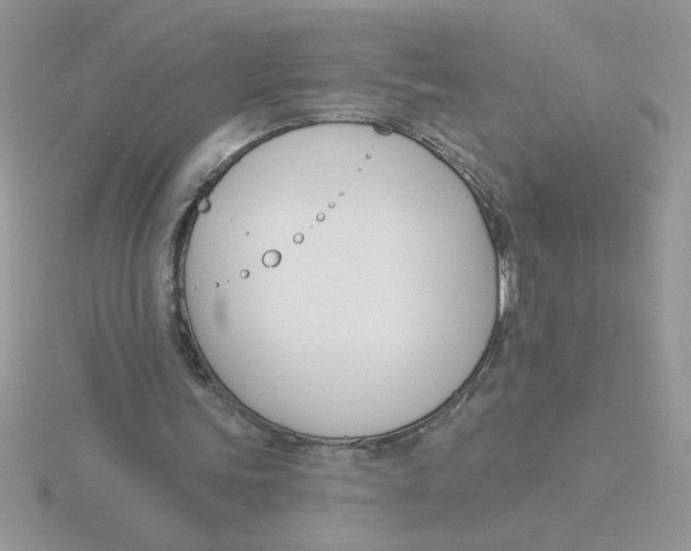 X0000115830339200912111317