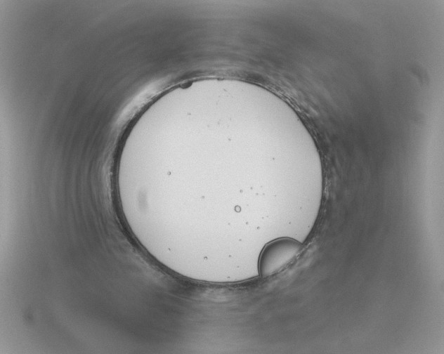 X0000115830341200912111317