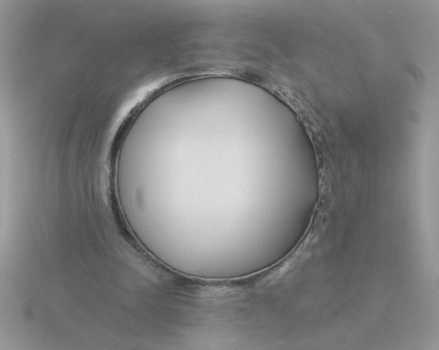 X0000115830342200912111317