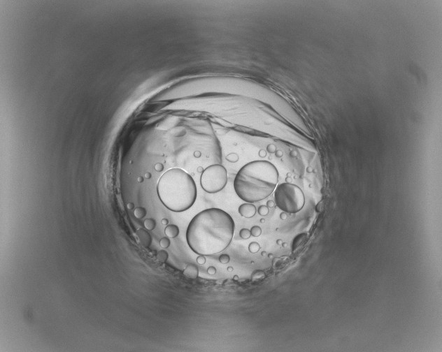 X0000115830343200912111317