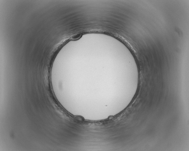 X0000115830345200912111317