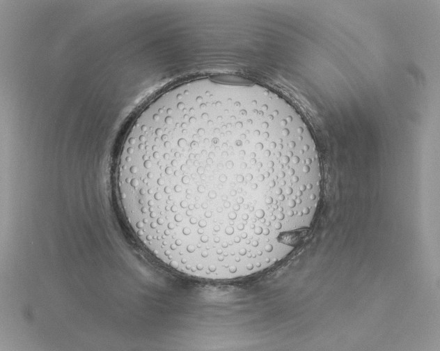 X0000115830346200912111317