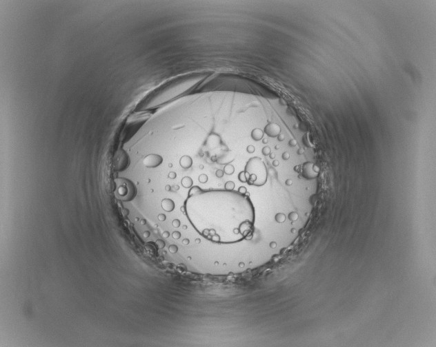 X0000115830347200912111317