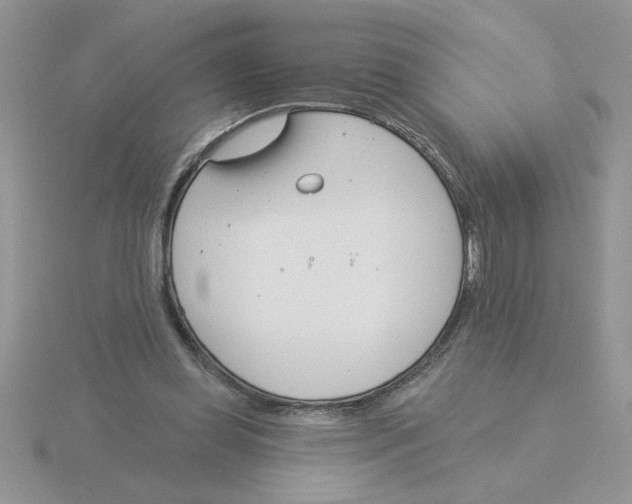 X0000115830349200912111317