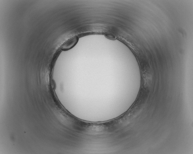 X0000115830350200912111317