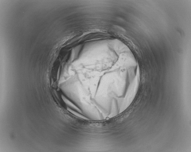 X0000115830353200912111317