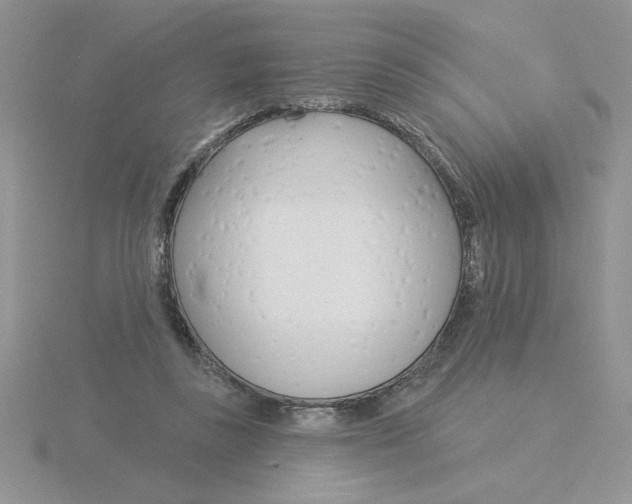 X0000115830355200912111317