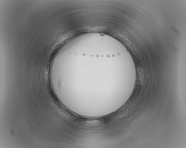 X0000115830357200912111317