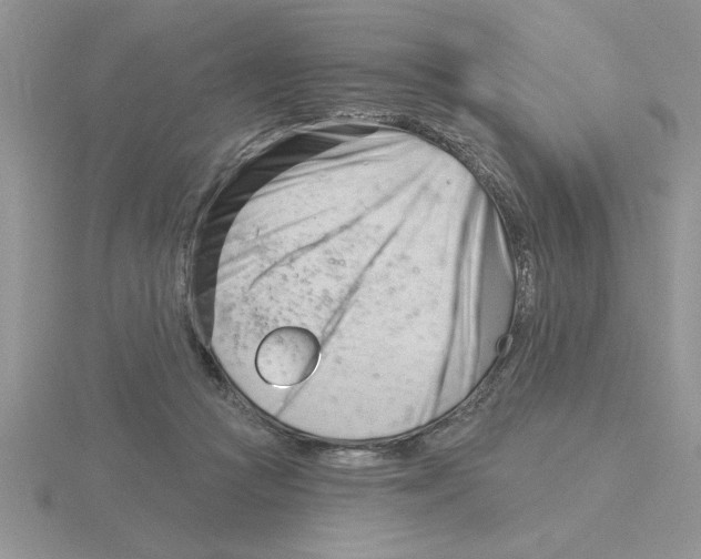 X0000115830361200912111317