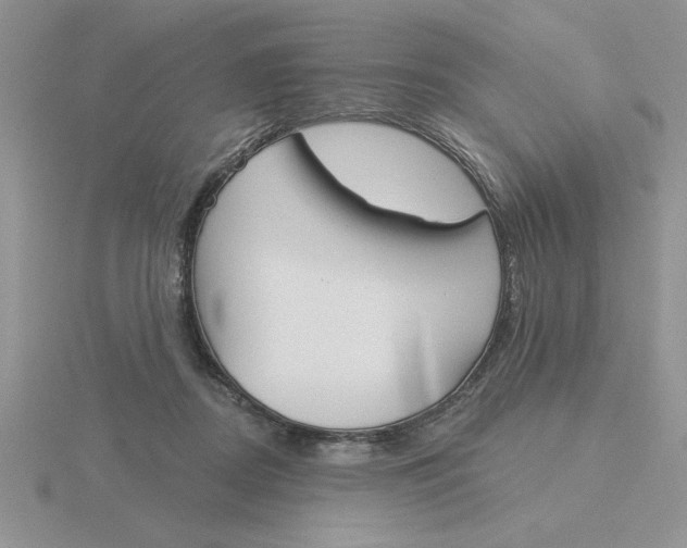 X0000115830362200912111317