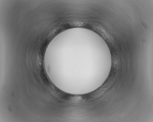 X0000115830374200912111317