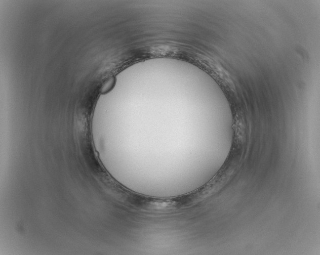 X0000115830375200912111317