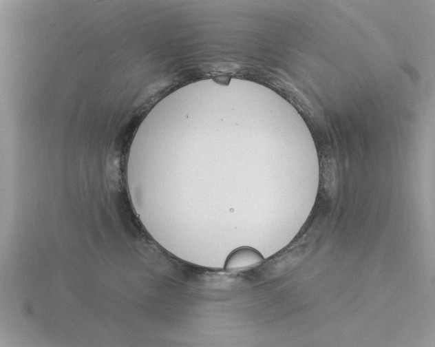 X0000115830378200912111317