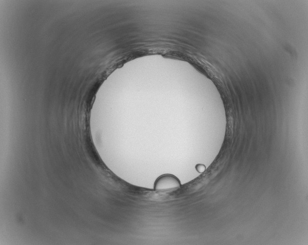 X0000115830379200912111317