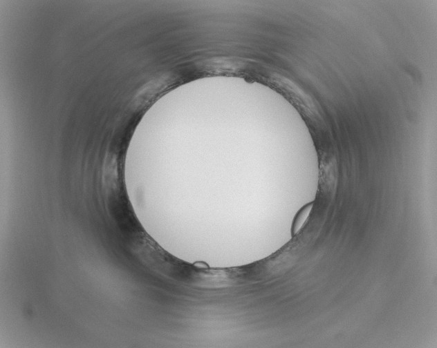 X0000115830381200912111317