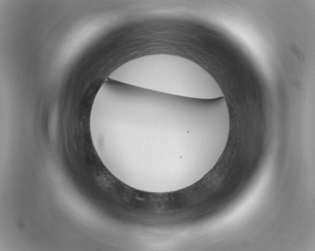 X0000115830382200912111317