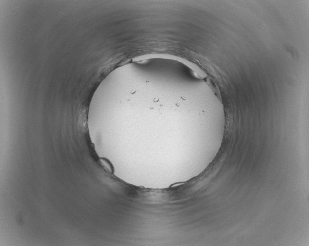 X0000115830383200912111317