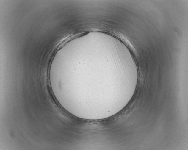 X0000115830386200912111317