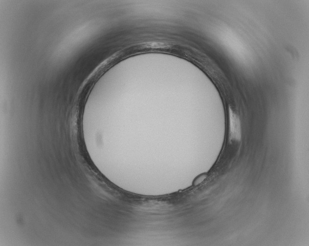 X0000115830387200912111317