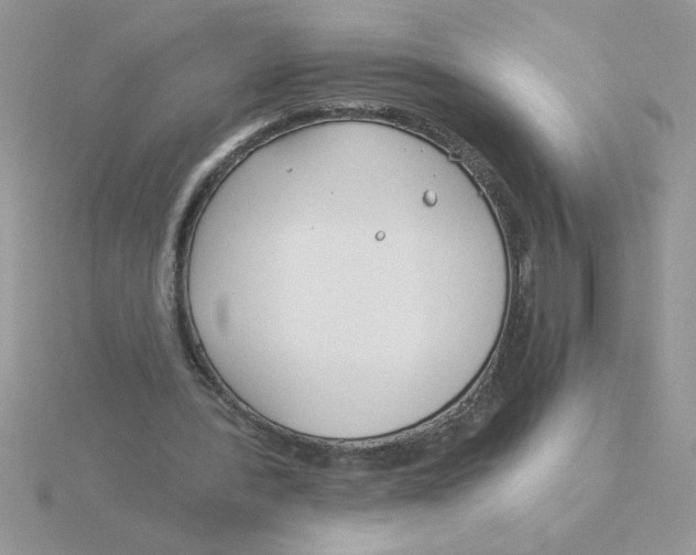 X0000115830388200912111317