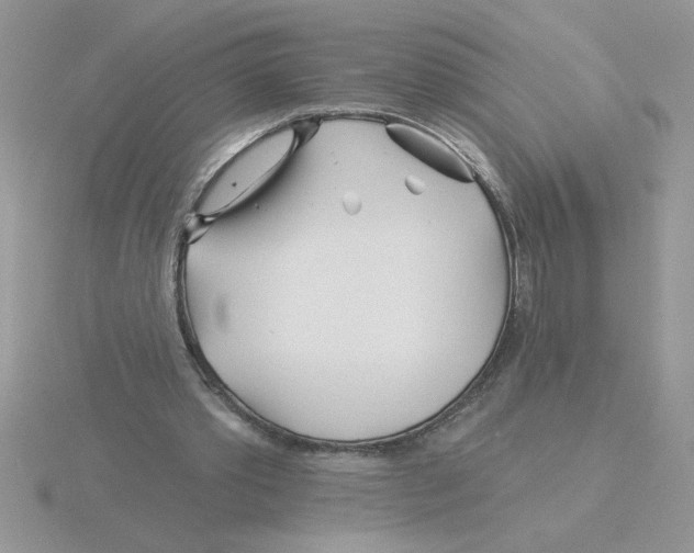 X0000115830389200912111317