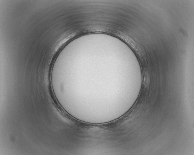 X0000115830390200912111317