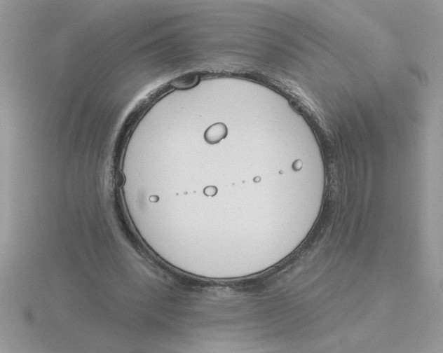 X0000115830392200912111316