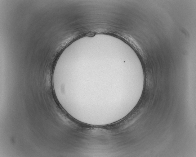 X0000115830393200912111316