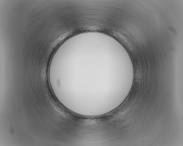 X0000115830394200912111316