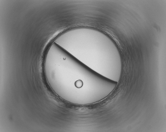 X0000115830395200912111316