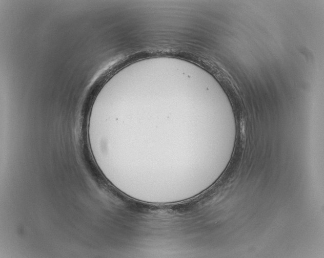 X0000115830396200912111316