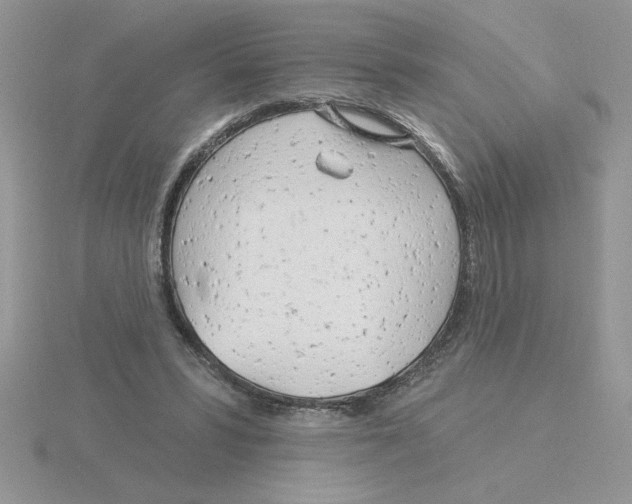 X0000115830399200912111316