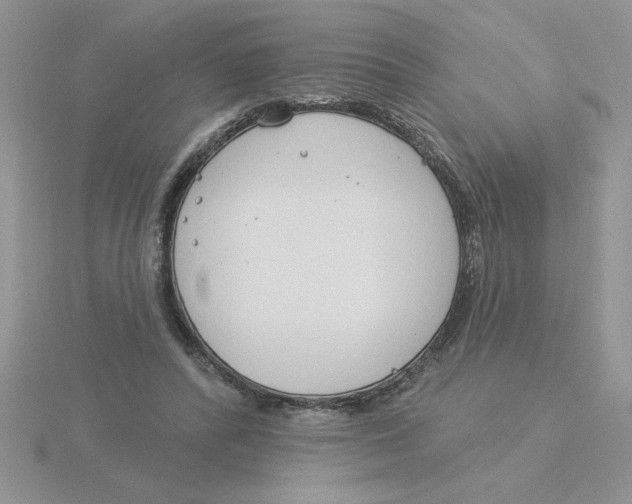 X0000115830400200912111316