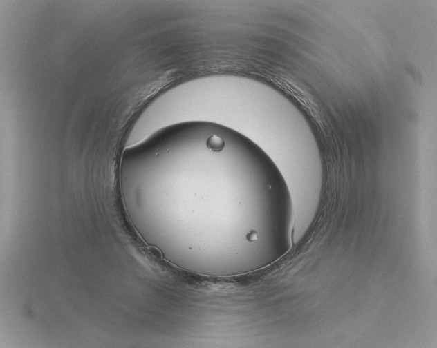 X0000115830401200912111316