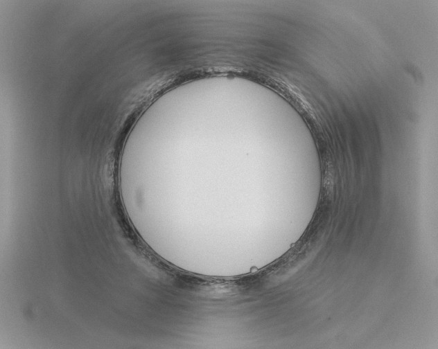 X0000115830402200912111316