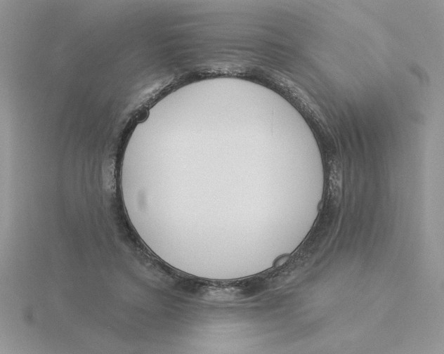 X0000115830403200912111316