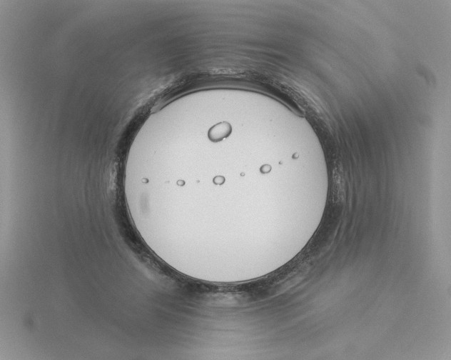 X0000115830404200912111316