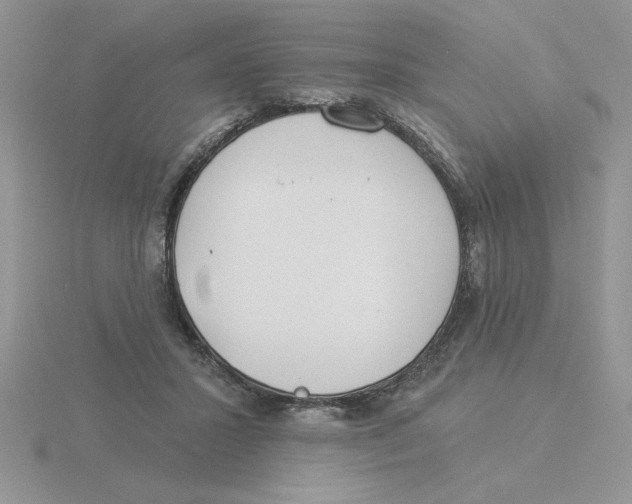 X0000115830407200912111316