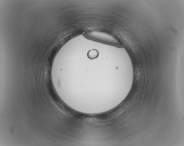 X0000115830408200912111316