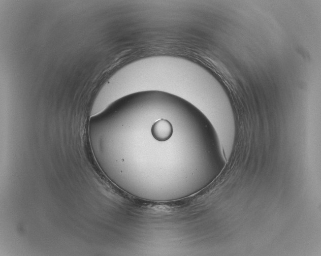 X0000115830409200912111316